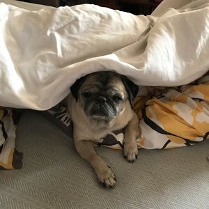 Meet your Posher, Jillian